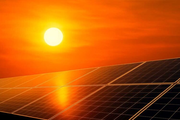 Paneles solares: tu aliado contra el calor.                            